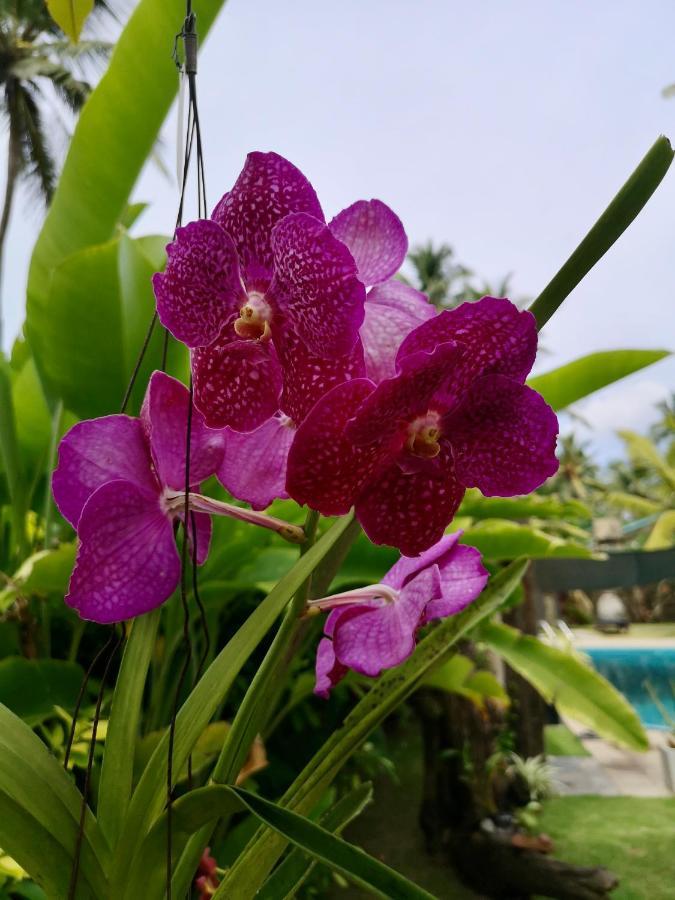 Thoduwawa Beach Villa Paiyagala Zewnętrze zdjęcie