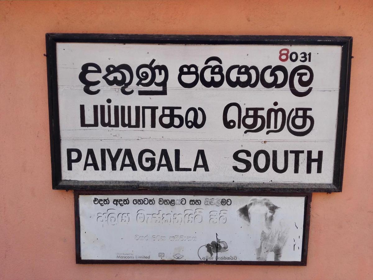 Thoduwawa Beach Villa Paiyagala Zewnętrze zdjęcie